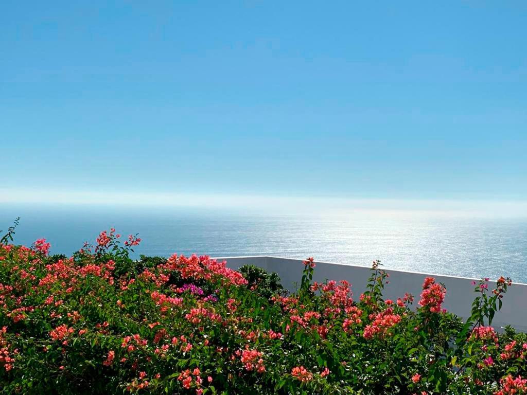 Encanto Acapulco Hotel Exterior photo